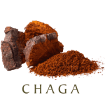 CHAGA