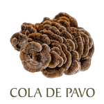 COLA DE PAVO