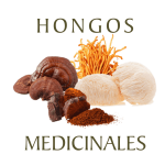 HONGOS MEDICINALES