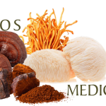 POWDERS MUSHROOMS