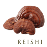 REISHI